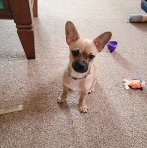 Meet your Posher, Jackie